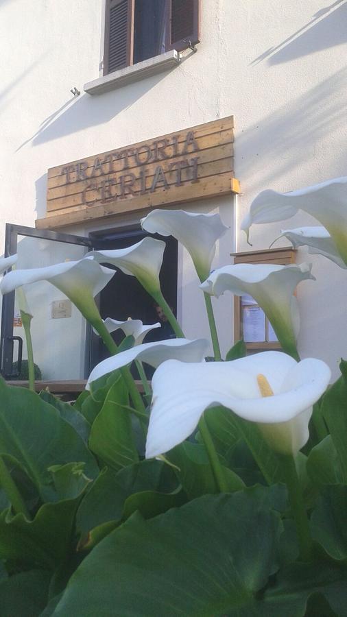 Trattoria Ceriati Room & Breakfast Salsomaggiore Terme Dış mekan fotoğraf